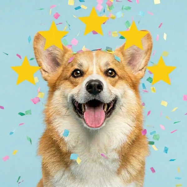 55,300+ Happy Customers
