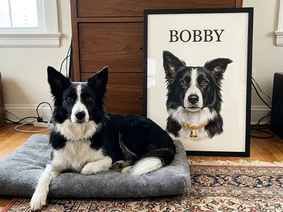 BOBBY photo