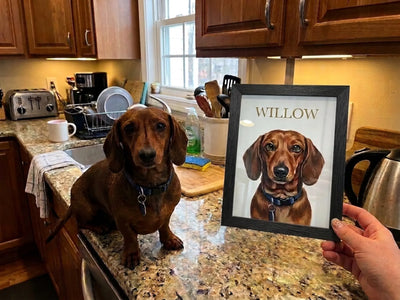 WILLOW photo