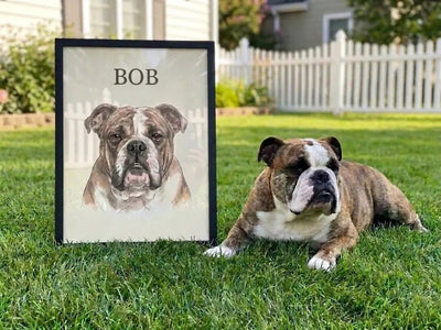 BOB photo