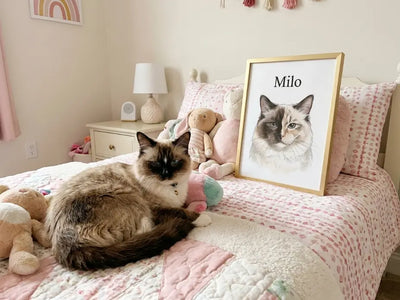 Milo photo