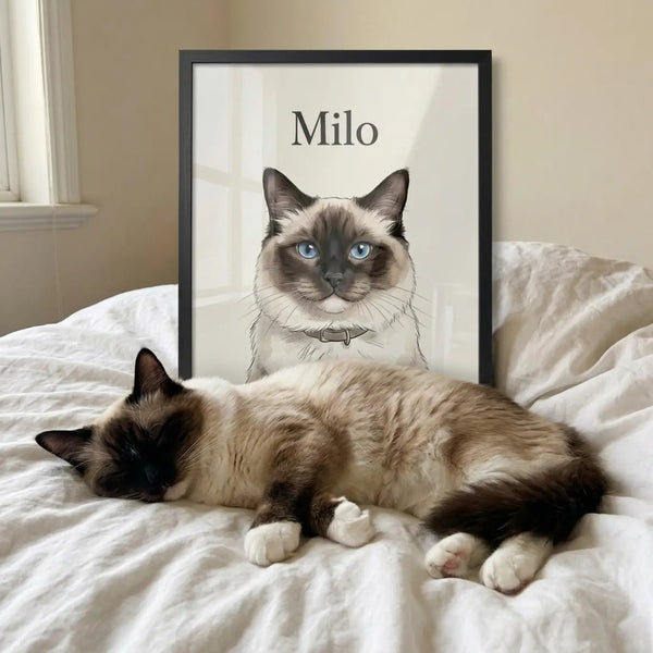 The Minimalist